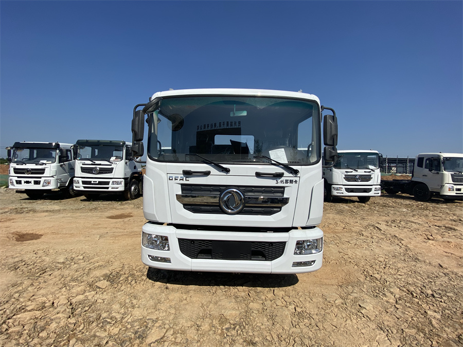 東風(fēng)D9（3950，玉柴165）國(guó)六 內(nèi)飾照片圖